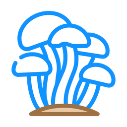 Enoki Mushroom  Icon