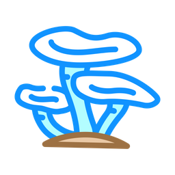 Morel Mushroom  Icon