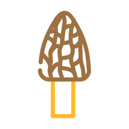 Morel Mushroom  Icon