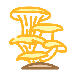 Oyster Mushroom  Icon