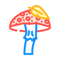 Porcini Mushroom  Icon