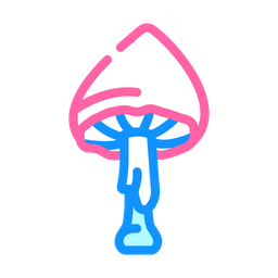 Celestial Mushroom  Icon