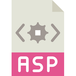 Asp File  Icon