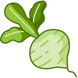 Beetroot  Icon