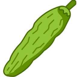 Bitter gourd  Icon