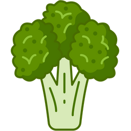 Broccoli  Icon