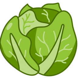 Cabbage  Icon