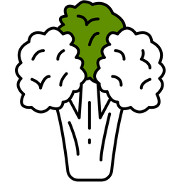 Broccoli  Icon