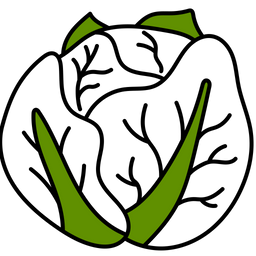 Cabbage  Icon