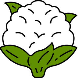 Cauliflower  Icon