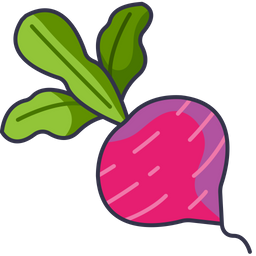 Beetroot  Icon