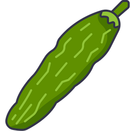 Bitter gourd  Icon