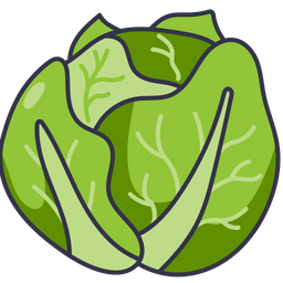 Cabbage  Icon