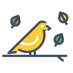 Bird  Icon