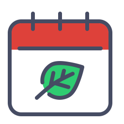 Calendar  Icon