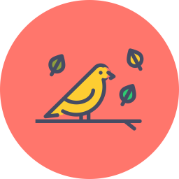 Bird  Icon