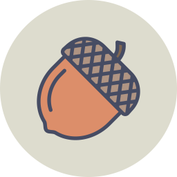 Chestnut  Icon