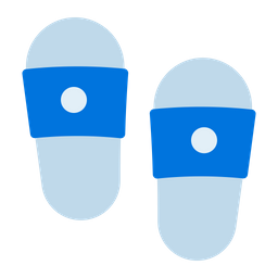 Flip flop  Icon