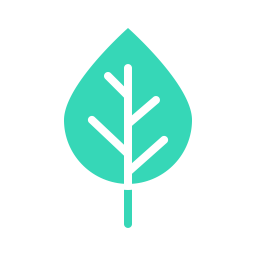 Birch  Icon