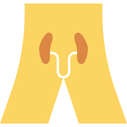 Anatomy  Icon