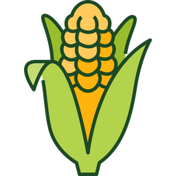 Corn  Icon