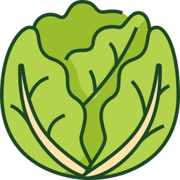 Cabbage  Icon