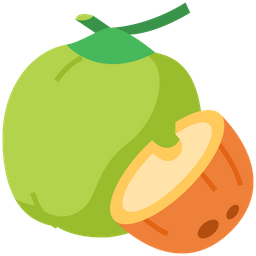 Coconut  Icon