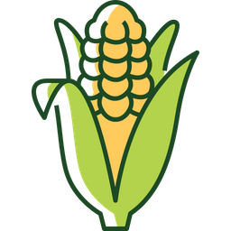 Corn  Icon