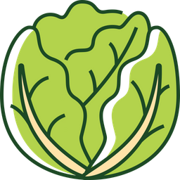 Cabbage  Icon