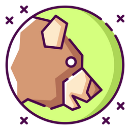 Bear  Icon