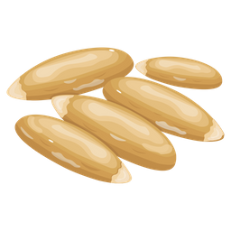 Cedar Nuts  Icon