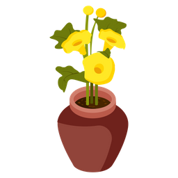 Allamanda Cathartica  Icon