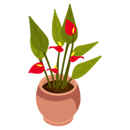 Anthurium Houseplant  Icon