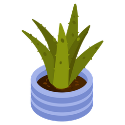 Aloe Vera  Icon