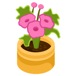 Allamanda Flower  Icon