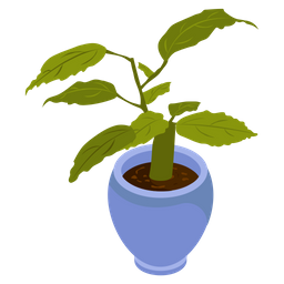 Birch Pot  Icon