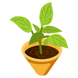 Aglaonema Plant  Icon