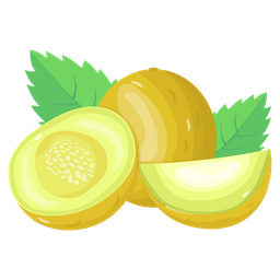 Cantaloupe  Icon