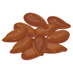 Flax Seeds  Icon