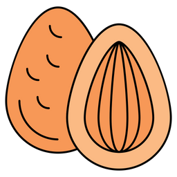 Almond  Icon