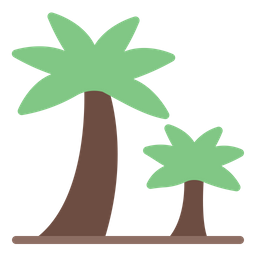 Palm Tree  Icon