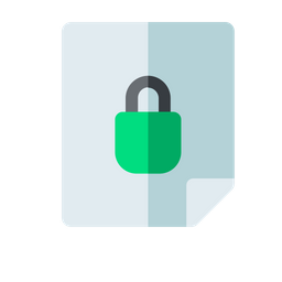 Data Security  Icon