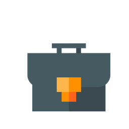 Bag  Icon