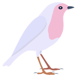 Bird  Icon