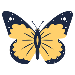 Butterfly  Icon