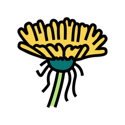 Dandelion Flower  Icon