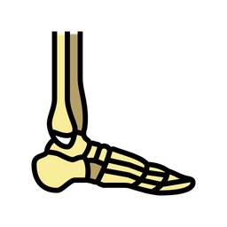 Ankle Bone  Icon