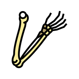 Arms Bone  Icon