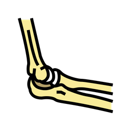 Elbow Bone  Icon