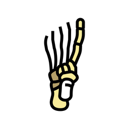 Foot Bone  Icon